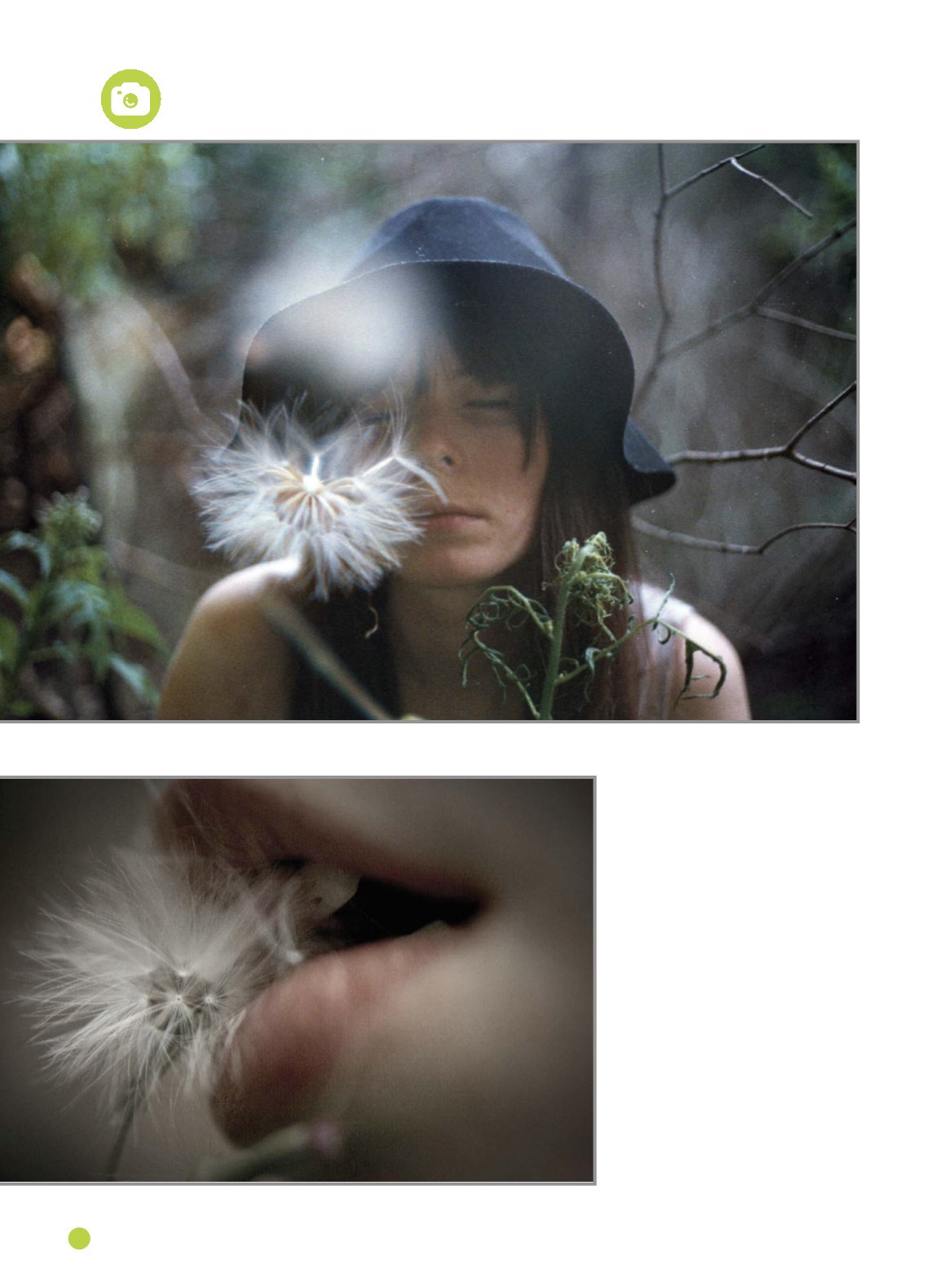 Page Background