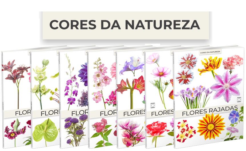 Coleção Cores da Natureza